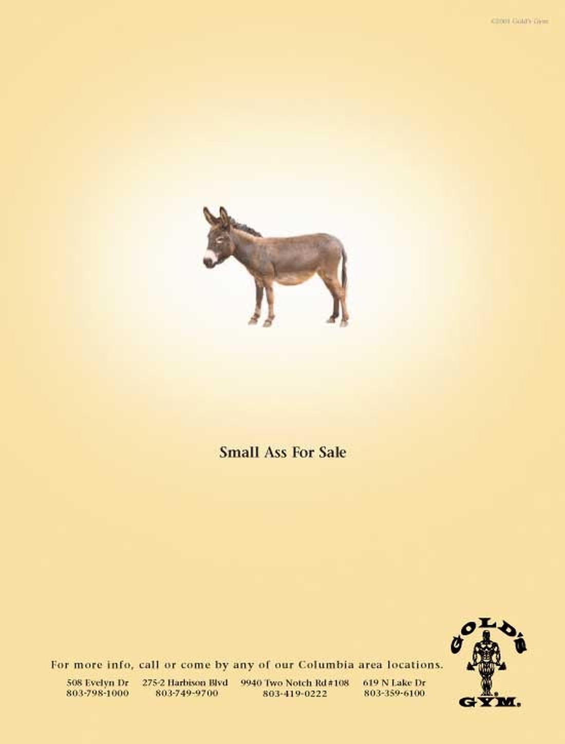 Gold's Gym print campaign